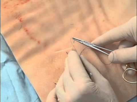 common eight sutures