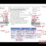 first aid for usmle step1 immuno