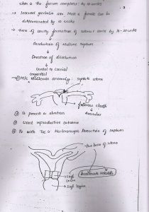 Before Exam Review Notes on Gyne and Obs
