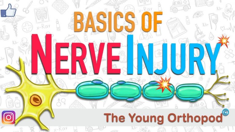 learn basics of nerve injury from video jdzM9b93wJ8
