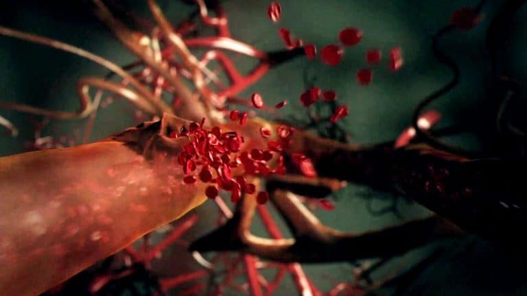 the living body our extraordinar