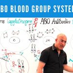 abo blood group system by dr naj
