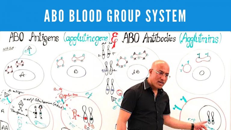 abo blood group system by dr naj