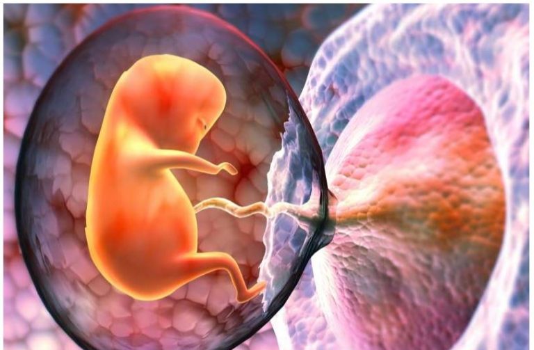 medicospace pregnancy