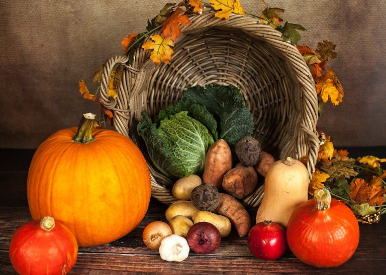 Wellness blogs
