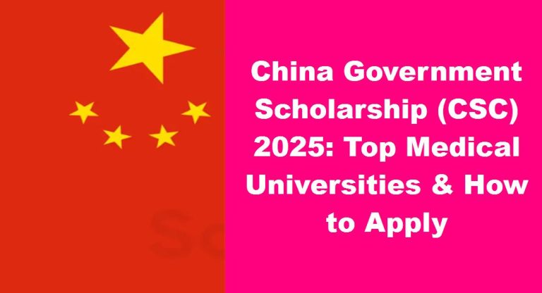 China Government Scholarship