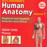 BD Chaurasia Human Anatomy -Free PDF Downloads